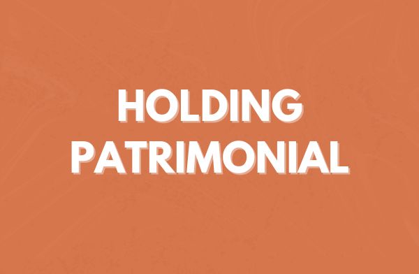 Holding Patrimonial